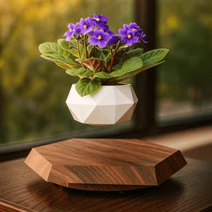 Levitating – Floating Flower Pot with Wood Base | أصيص زهور عائم بقاعدة خشبية